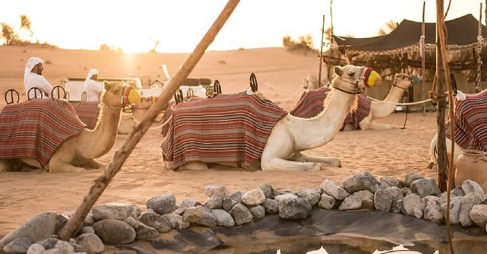 Heritage Bedouin Culture Safari
