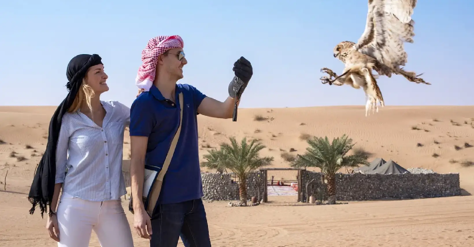 Heritage Falconry with Wildlife Drive